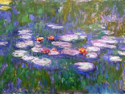 waterlilies